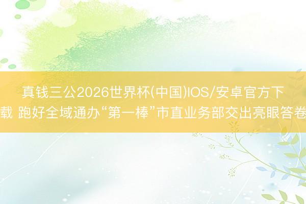 真钱三公2026世界杯(中国)IOS/安卓官方下载 跑好全域通办“第一棒”市直业务部交出亮眼答卷