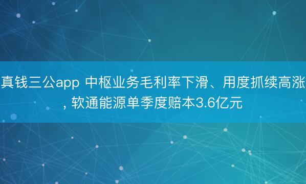 真钱三公app 中枢业务毛利率下滑、用度抓续高涨， 软通能源单季度赔本3.6亿元