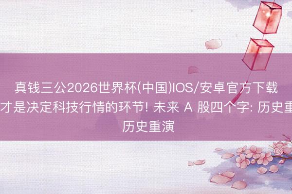 真钱三公2026世界杯(中国)IOS/安卓官方下载 这才是决定科技行情的环节! 未来 A 股四个字: 历史重演