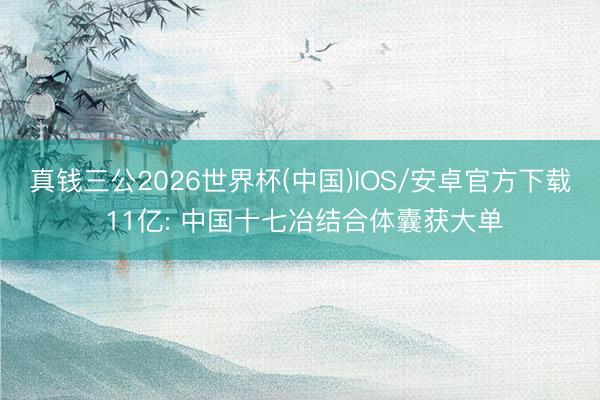 真钱三公2026世界杯(中国)IOS/安卓官方下载 11亿: 中国十七冶结合体囊获大单