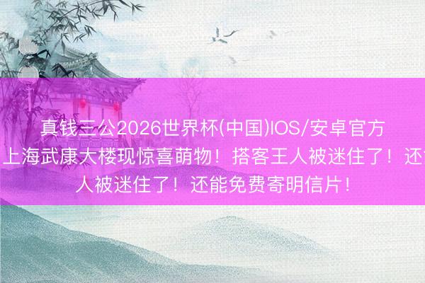 真钱三公2026世界杯(中国)IOS/安卓官方下载 心动地标！上海武康大楼现惊喜萌物！搭客王人被迷住了！还能免费寄明信片！