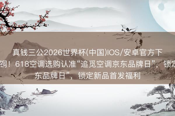 真钱三公2026世界杯(中国)IOS/安卓官方下载 货真价实全铜！618空调选购认准“追觅空调京东品牌日”，锁定新品首发福利