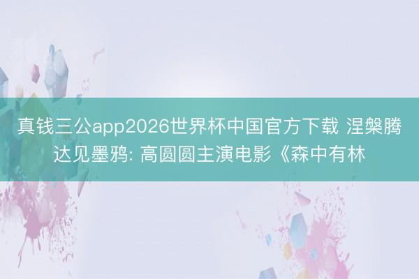 真钱三公app2026世界杯中国官方下载 涅槃腾达见墨鸦: 高圆圆主演电影《森中有林