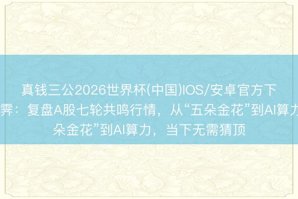 真钱三公2026世界杯(中国)IOS/安卓官方下载 浙商证券王大霁:复盘A股七轮共鸣行情,从“五朵金花”到AI算力,当下无需猜顶