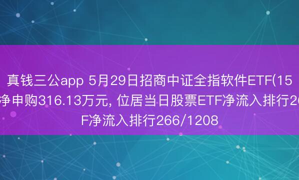 真钱三公app 5月29日招商中证全指软件ETF(159899)获净申购316.13万元, 位居当日股票ETF净流入排行266/1208