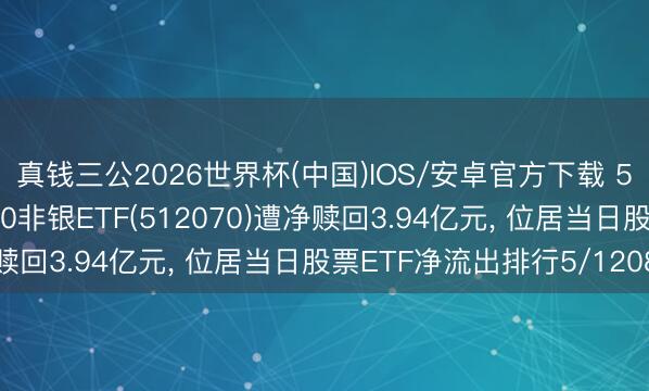 真钱三公2026世界杯(中国)IOS/安卓官方下载 5月29日易方达沪深300非银ETF(512070)遭净赎回3.94亿元， 位居当日股票ETF净流出排行5/1208