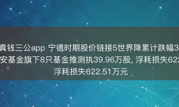 真钱三公app 宁德时期股价链接5世界降累计跌幅3.73%， 诺安基金旗下8只基金推测执39.96万股， 浮耗损失622.51万元