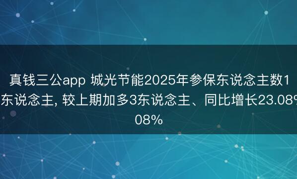 真钱三公app 城光节能2025年参保东说念主数16东说念主， 较上期加多3东说念主、同比增长23.08%
