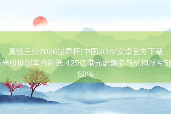 真钱三公2026世界杯(中国)IOS/安卓官方下载 小米股价创年内新低 425亿港元配售参与机构浮亏58%