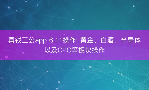 真钱三公app 6.11操作: 黄金、白酒、半导体以及CPO等板块操作