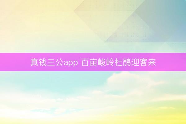 真钱三公app 百亩峻岭杜鹃迎客来