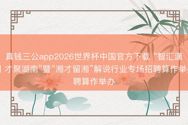 真钱三公app2026世界杯中国官方下载 “智汇潇湘 才聚湖南”暨“湘才留湘”解说行业专场招聘算作举办