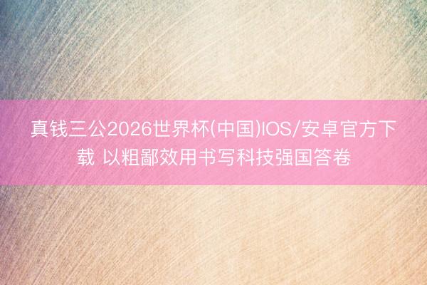 真钱三公2026世界杯(中国)IOS/安卓官方下载 以粗鄙效用书写科技强国答卷