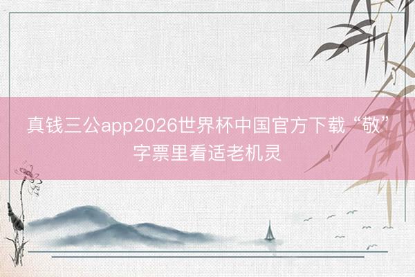 真钱三公app2026世界杯中国官方下载 “敬”字票里看适老机灵