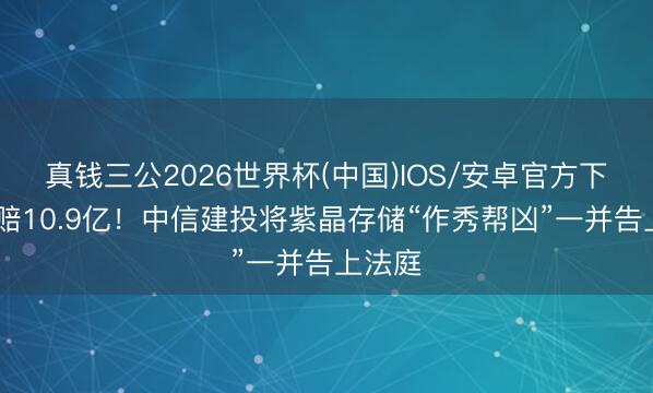 真钱三公2026世界杯(中国)IOS/安卓官方下载 索赔10.9亿！中信建投将紫晶存储“作秀帮凶”一并告上法庭