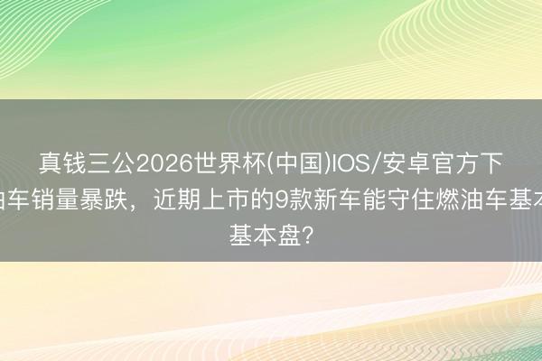 真钱三公2026世界杯(中国)IOS/安卓官方下载 油车销量暴跌,近期上市的9款新车能守住燃油车基本盘?