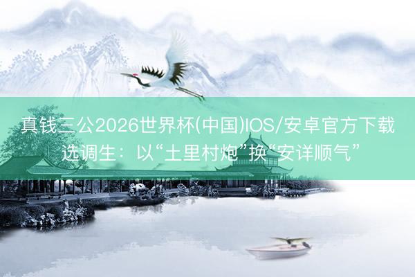 真钱三公2026世界杯(中国)IOS/安卓官方下载 选调生：以“土里村炮”换“安详顺气”