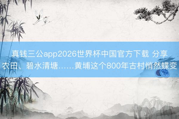 真钱三公app2026世界杯中国官方下载 分享农田、碧水清塘……黄埔这个800年古村悄然蝶变